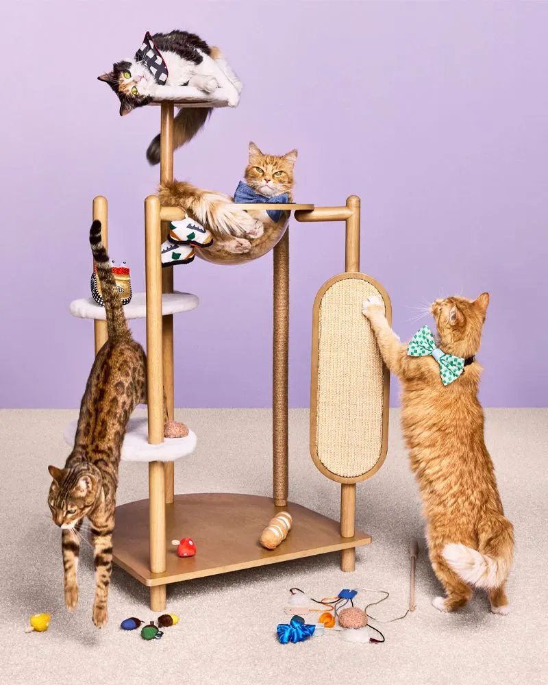 Cats play on a cat tree that is part of Target's The Cuddle Collab collection.